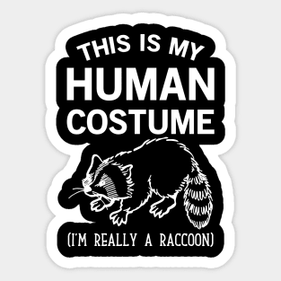 This is my Human Costume  Raccoon Sticker